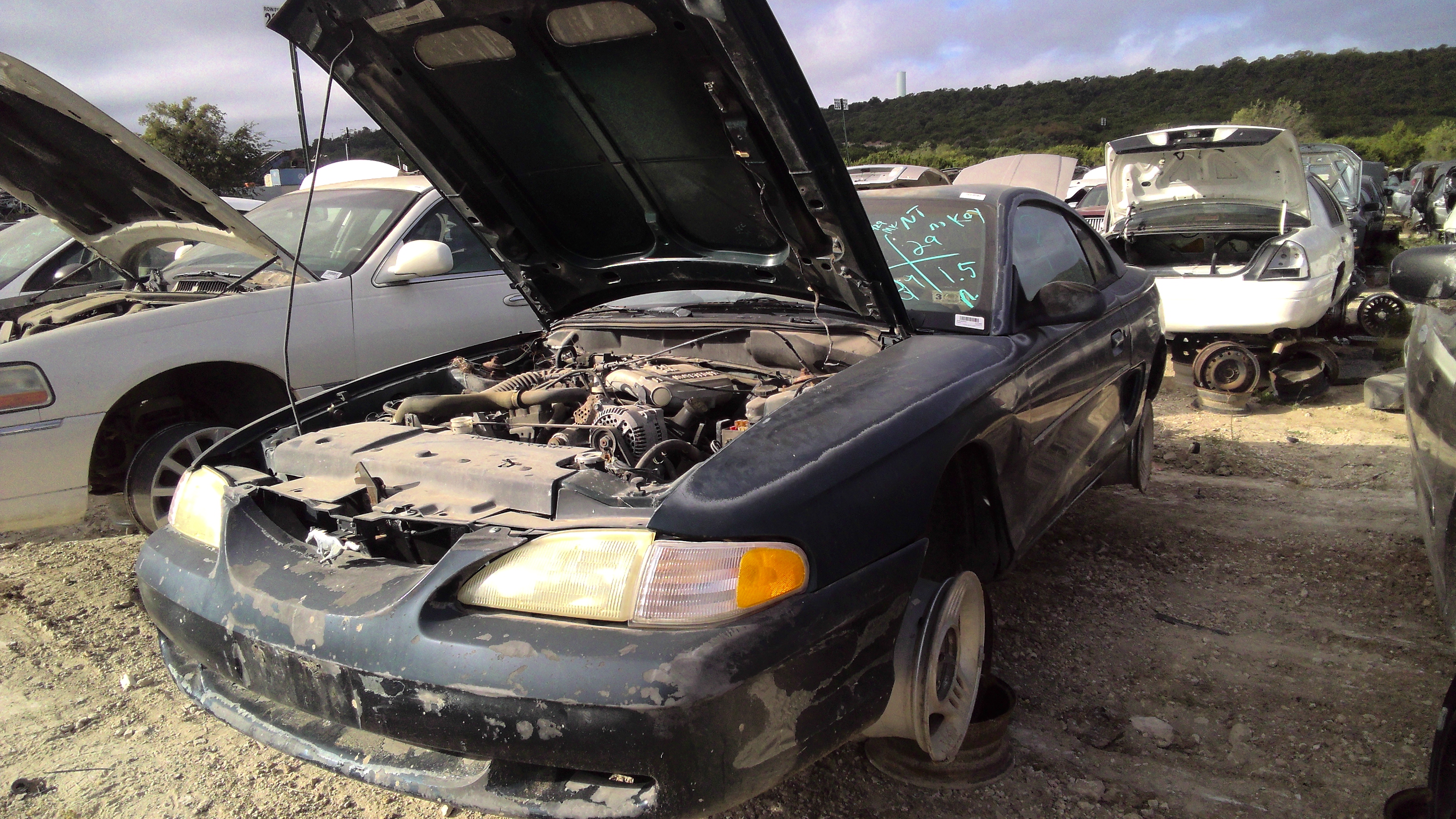 1995 Mustang