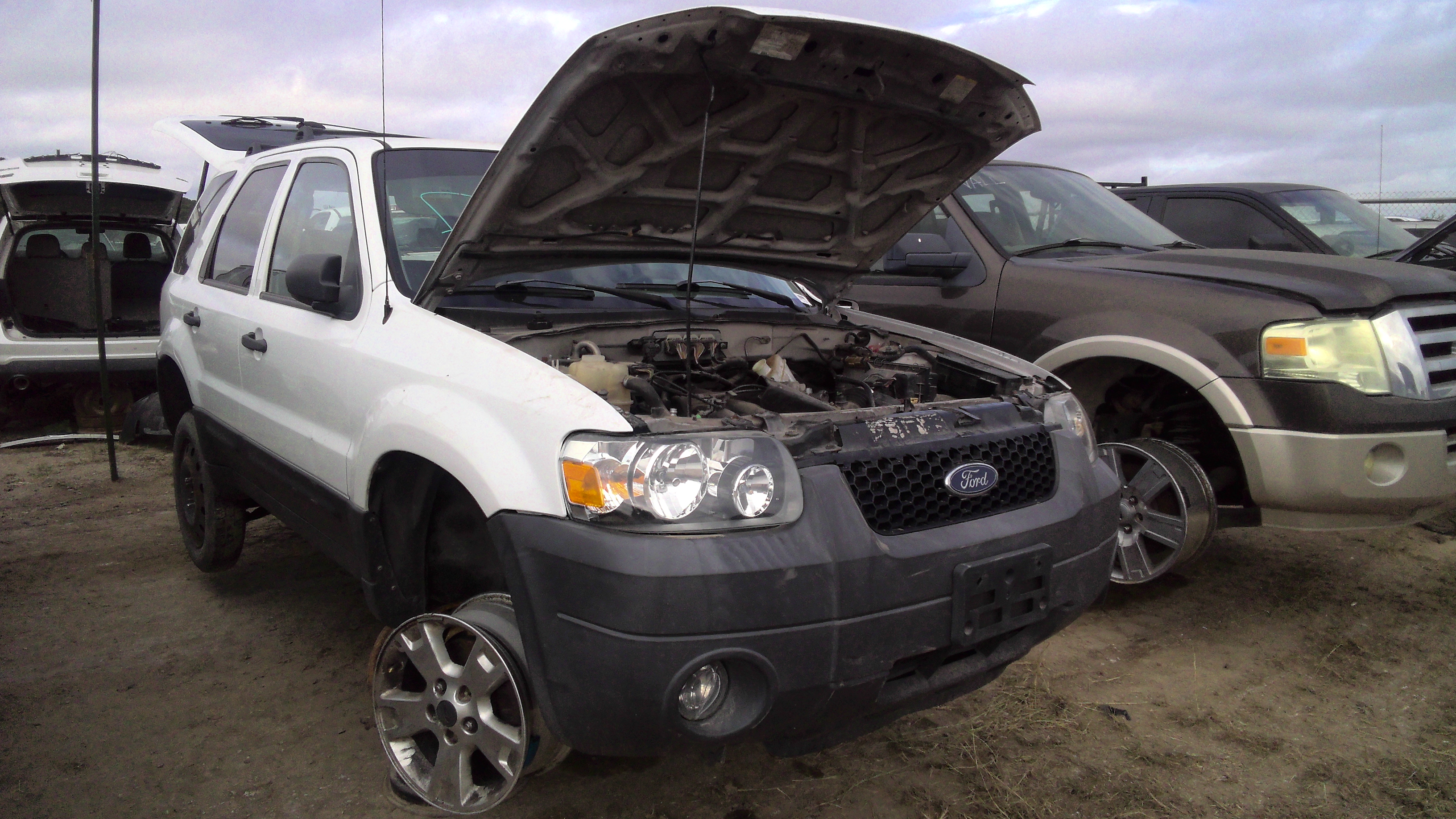 2006 Escape