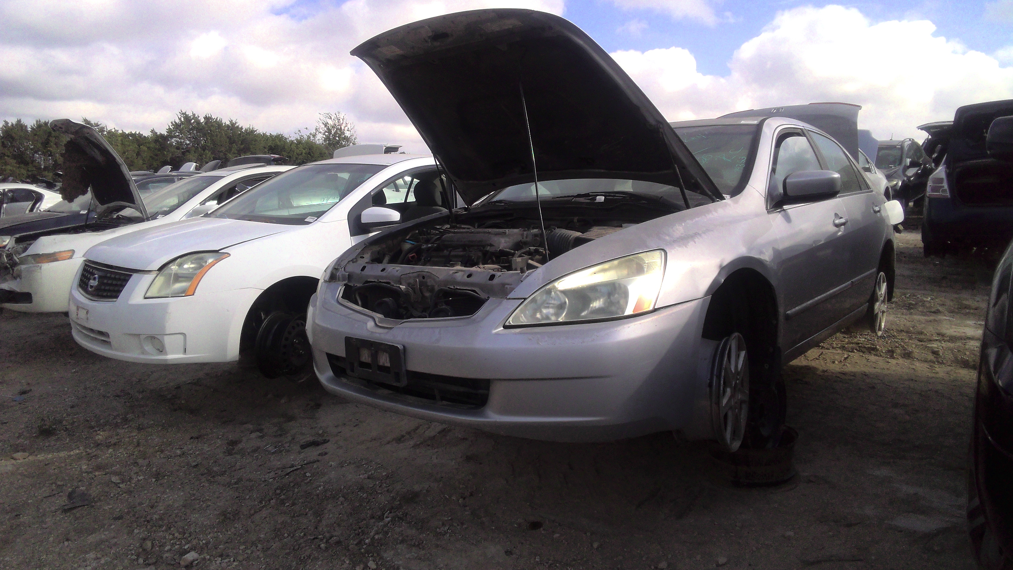 2004 Accord