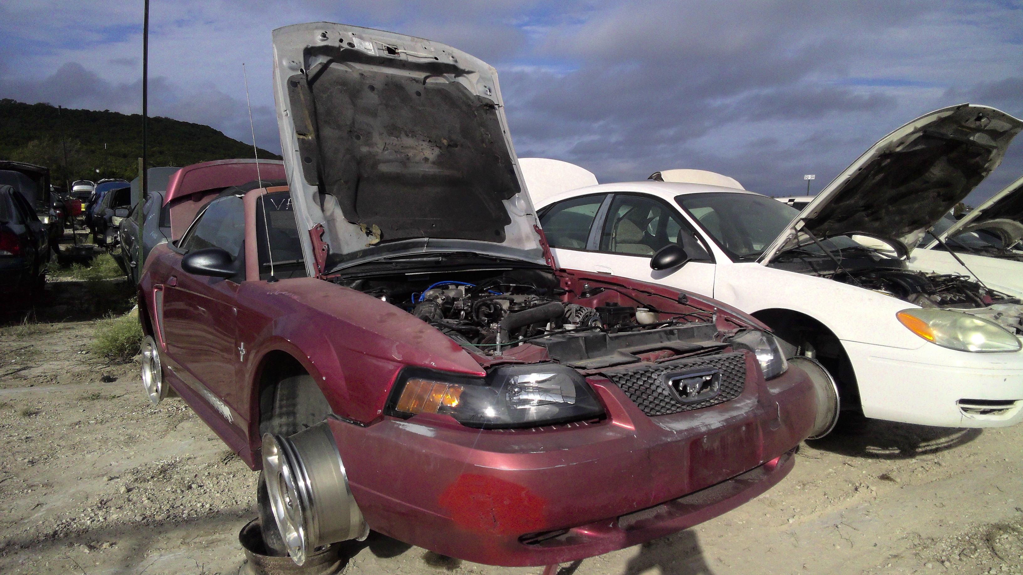 2003 Mustang